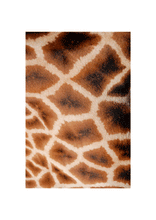 Load image into Gallery viewer, Giraffe1 - Print from the Animals collection
