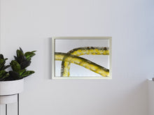Cargar imagen en el visor de la galería, Yellow 3 - Lámina de la colección Lineal
