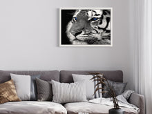 Load image into Gallery viewer, Blue tiger - Art print from the Animals collection
