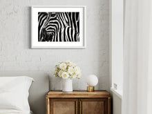 Cargar imagen en el visor de la galería, Zebra1 - Lámina de la colección Animales
