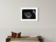 Load image into Gallery viewer, King Lyon - Art print from the Animals collection
