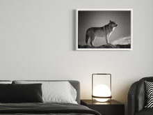 Load image into Gallery viewer, Wolf - Print from the Animals collection
