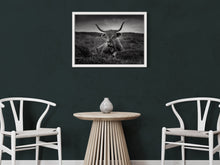 Load image into Gallery viewer, Cattle - Art print from the Animals collection
