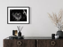 Load image into Gallery viewer, King Lyon - Art print from the Animals collection
