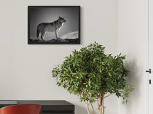 Load image into Gallery viewer, Wolf - Print from the Animals collection
