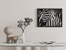 Cargar imagen en el visor de la galería, Zebra1 - Lámina de la colección Animales
