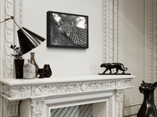 Load image into Gallery viewer, Leopard - Print from the Animals collection
