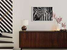 Cargar imagen en el visor de la galería, Zebra1 - Lámina de la colección Animales
