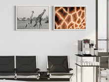 Load image into Gallery viewer, Giraffes - Art print from the Animals collection
