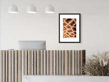 Load image into Gallery viewer, Giraffe1 - Print from the Animals collection
