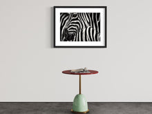 Cargar imagen en el visor de la galería, Zebra1 - Lámina de la colección Animales
