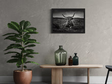Load image into Gallery viewer, Cattle - Art print from the Animals collection
