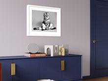 Load image into Gallery viewer, Baby cat - Art print from the Animals collection
