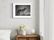 Load image into Gallery viewer, Wolf - Print from the Animals collection
