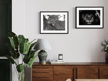 Load image into Gallery viewer, Leopard - Print from the Animals collection
